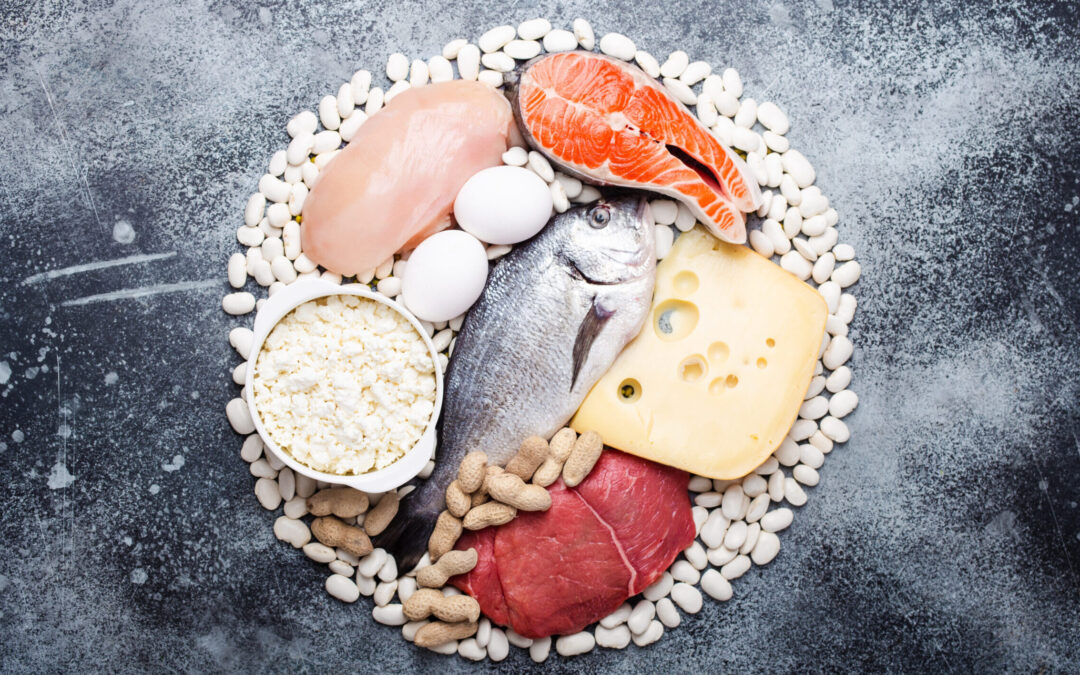 Proteine: Bausteine der Gesundheit